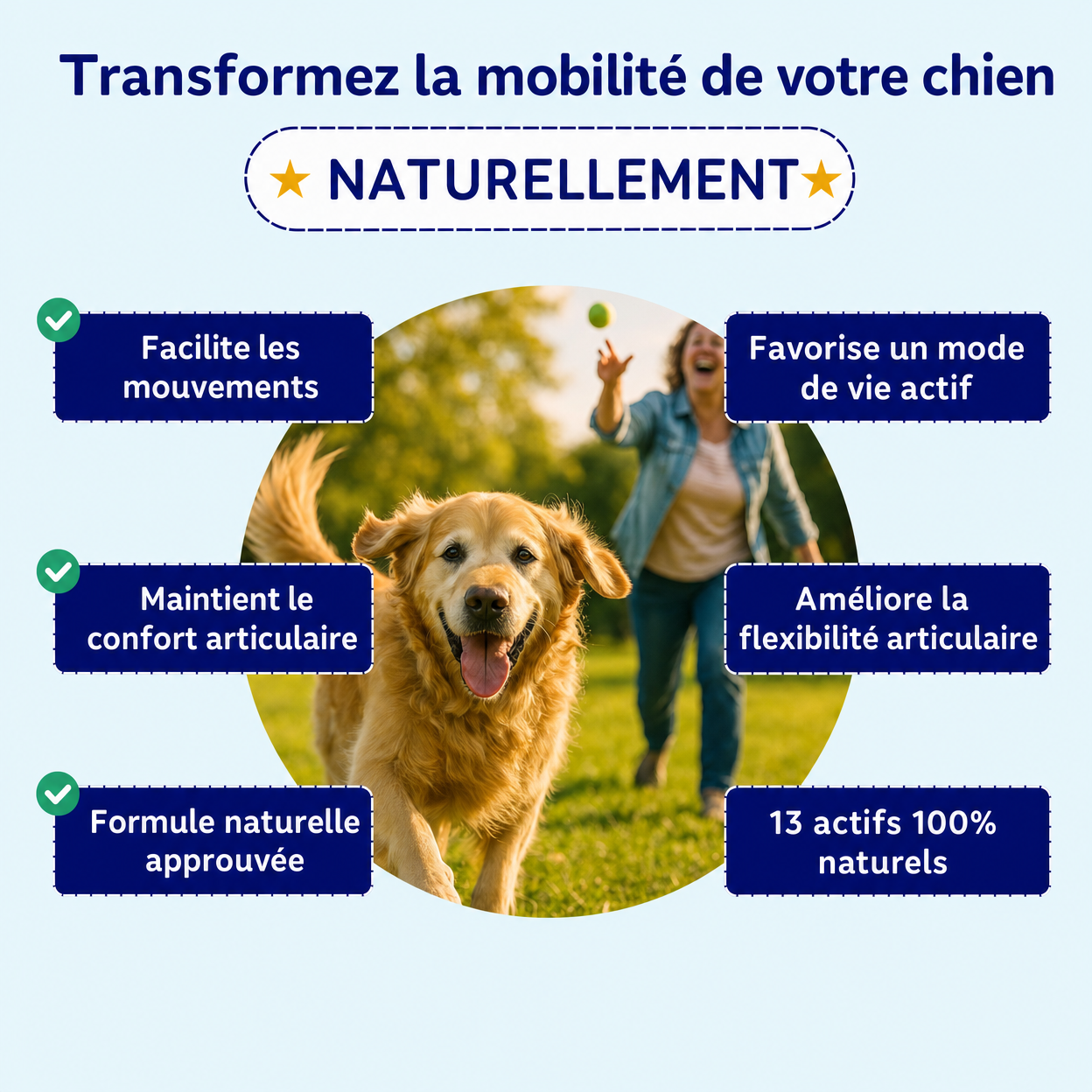 Blycu — 13 Actifs Naturels pour Redonner Vie à Ses Articulations