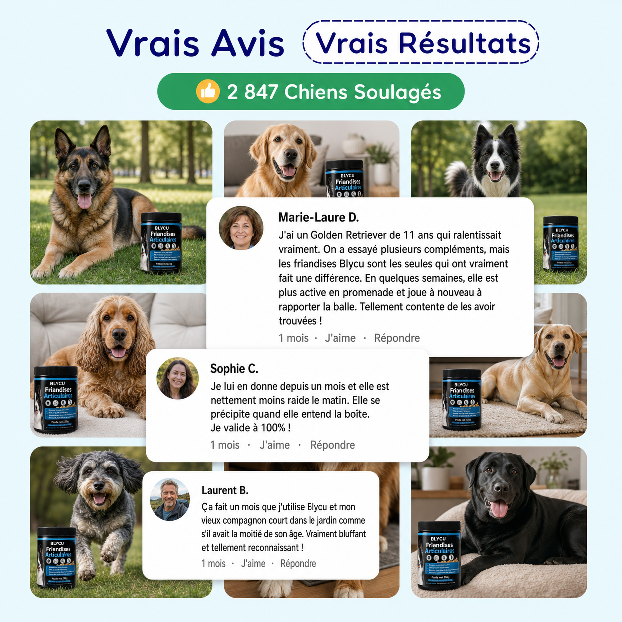Blycu — 13 Actifs Naturels pour Redonner Vie à Ses Articulations