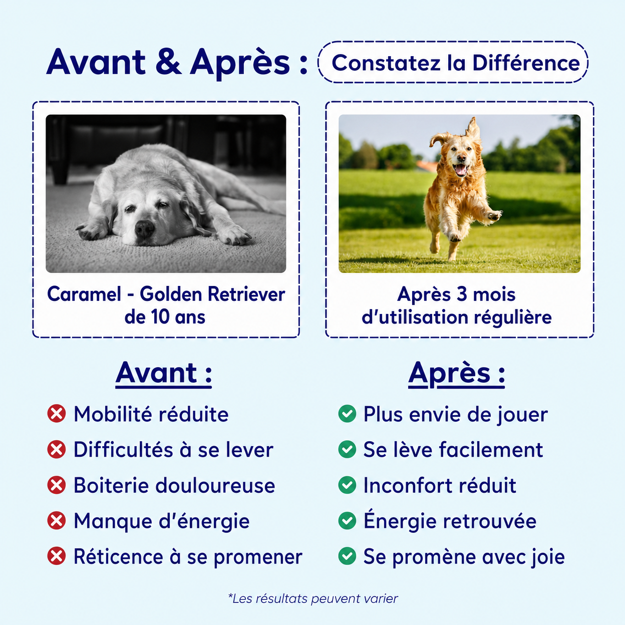 Blycu — 13 Actifs Naturels pour Redonner Vie à Ses Articulations