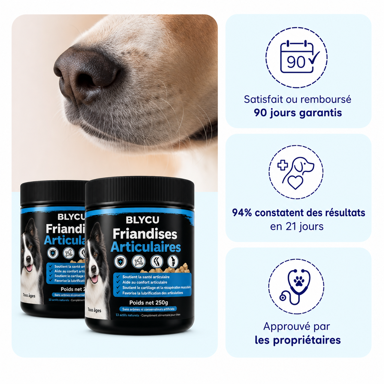 Blycu — 13 Actifs Naturels pour Redonner Vie à Ses Articulations